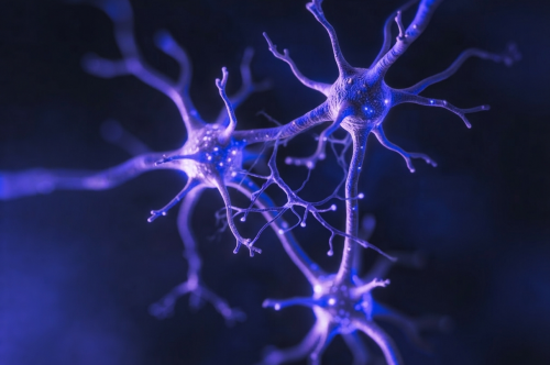 Trivergence-Virtual-Symposium